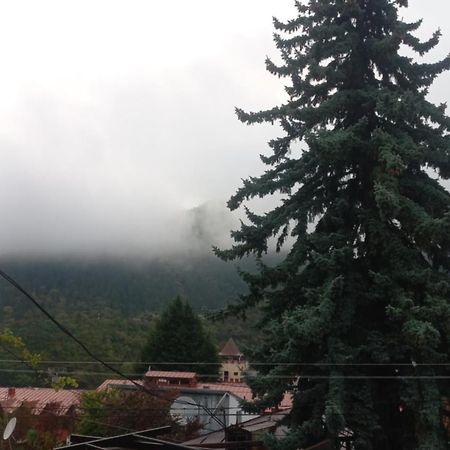 House Lia Hotel Borjomi Luaran gambar