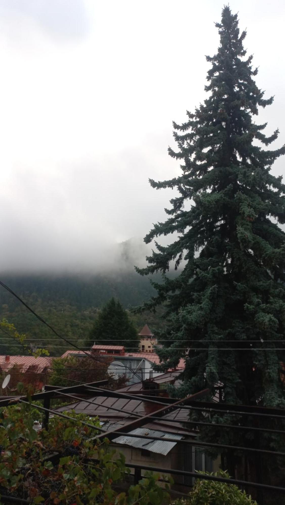 House Lia Hotel Borjomi Luaran gambar