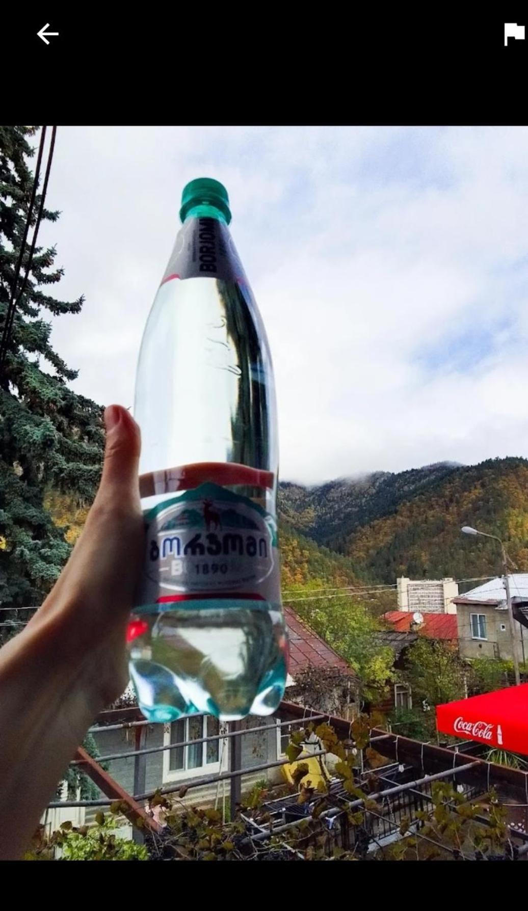 House Lia Hotel Borjomi Luaran gambar